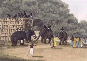 Piège à éléphants hindou, pub. par Edward Orme