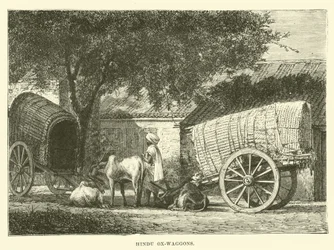 Chariots à bœufs hindous