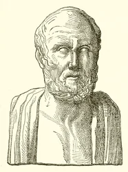 Hippocrate