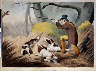 Chasse à la bécasse en Angleterre. Gravure aquarelle du 19ème siècle. Gien, musée de la chasse.