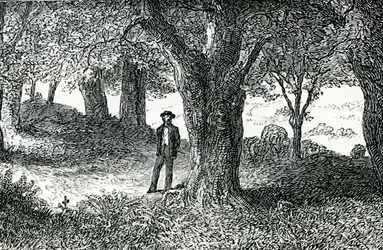 Illustration de 