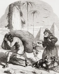 Illustration d