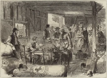 Incidents de la récolte du houblon