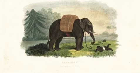 Enfant indien laissé sous la protection d