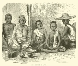 Indochinois du Laos