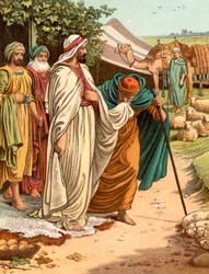 Job dans sa prospérité