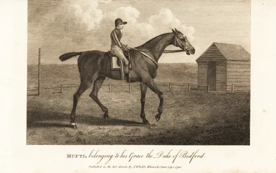 Jockey sur le célèbre cheval de course pur-sang Mufti, appartenant à son Altesse le Duc de Bedford