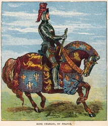 Roi Charles de France