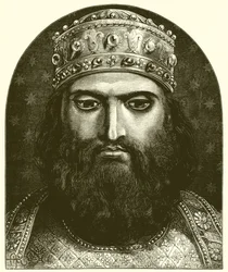 Roi Salomon