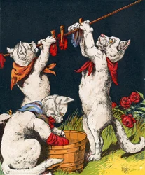 Chatons lavant leurs mitaines