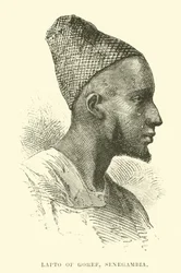 Lapto de Gorée, Sénégambie