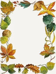 Montage de feuilles
