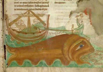 MS.254.f33r Une baleine avec un marin enfonçant un pieu dans sa tête, détail d