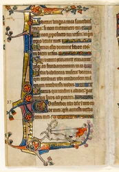 Un cerf lassé par un homme, décoration marginale du Psautier de Macclesfield, Usage de Sarum, East Anglia, vers 1330