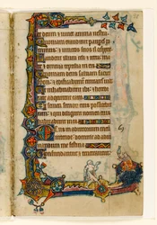 Un mendiant et un cochon riche (?), décoration marginale du Psautier de Macclesfield, Usage de Sarum, East Anglia, vers 1330