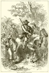Filibustiers mexicains en marche