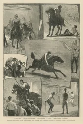 Tournoi militaire au Agricultural Hall