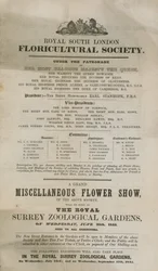 Exposition de fleurs diverses