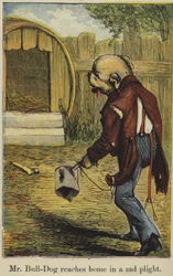 M. Bull-Dog rentre chez lui dans un triste état