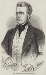 M. MacGregor, député de Glasgow (gravure)