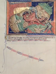 Ms L.A. 139-Lisboa fol.71 Les mâchoires de l
