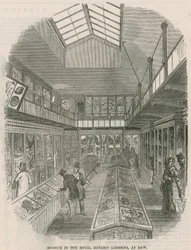 Musée dans les jardins botaniques royaux, à Kew
