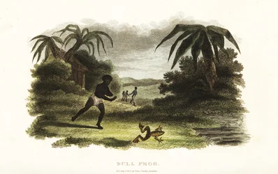 Amérindien perdant une course avec une grenouille-taureau jusqu