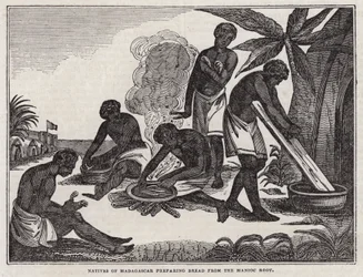 Natifs de Madagascar préparant du pain à partir de racine de manioc