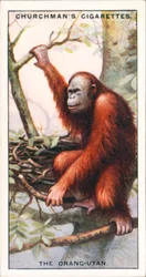 Architectes de la nature : L