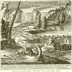 Niagara et les barrages de castors