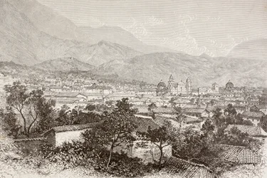 Vue d