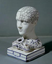 Tête phrénologique par le Dr Frederick Bridges
