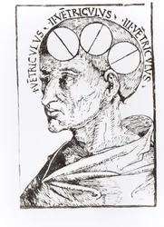 Phrenologie