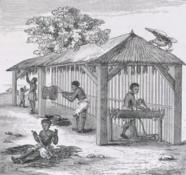 Préparation du tabac, de 