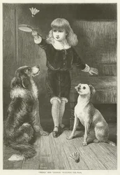 Prince et Charlie regardant la pièce