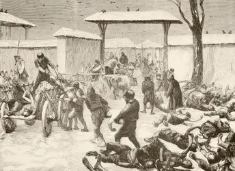 Récupération des morts après le siège de Plevna, Bulgarie en 1877 (lithographie)
