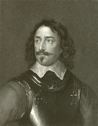 Robert Devereux, Comte d