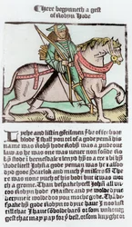 Robin des Bois (coloration ultérieure)