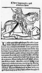 Robin des Bois