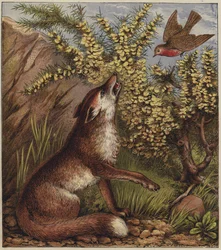 Chanson de Noël du Rouge-Gorge