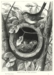 Nid de rouge-gorge dans le pot de colle