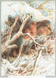 Rouges-gorges sur une branche, Carte de Noël