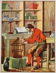 Robinson Crusoé fabriquant une cage pour son perroquet, illustration de L