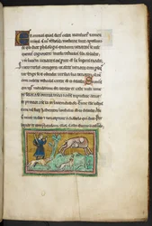 Un loup (?) avec du sang sortant de sa bouche, et un chasseur avec des chiens, du Bestiaire de Rochester