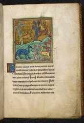 Léopard chassant un cerf, avec un chameau et un autre animal