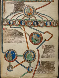 Détail de la membrane 5 