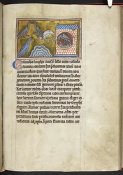 Colombes, du 