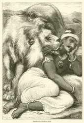 Sandrocottus et le lion