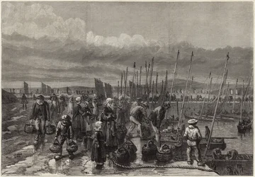 Pêche à la sardine sur la côte bretonne