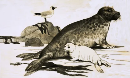 Sceller et sceller les cubes